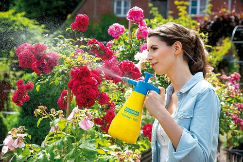 Gloria Rückensprüher Hobby 100, 1 l - Fassungsvermögen: 1 l - Detailfarbe: Hellblau - Gerätetyp: Druckspeichersprühgerät