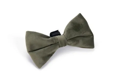 Designed by Lotte Zaza Green Velvet, Polyester Dog Standard collar
