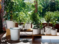 GARDENA Urlaubsbewässerung Set - Bewässerungsart: Urlaubsbewässerung - System Teil: Komplett-Set - Detailfarbe: Grau - Schwarz