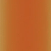 Cricut Aufbügelfolie Infusible Ink Leopard 30.5 x 30.5 cm, 4 Stück - Geeignet für Drucker: Thermosublimation - Detailfarbe: Orange - Aussenanwendung: Nein - Selbstklebend: Nein - Aufbügelbar: Ja - Folientyp: Sublimationsfolie