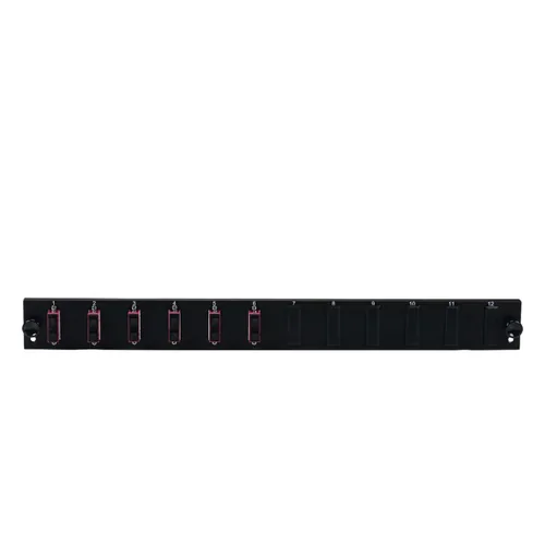 EFB Bestckte 12 Port Frontblende mit 6 x SC Duplex Kupplung OS2 vertikal, grau