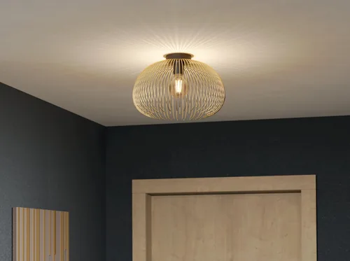 EGLO 900165 éclairage de plafond E27 40 W