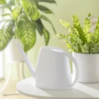 scheurich Giesskanne Lilly Weiss matt - Volumen: 1.5 l - Detailfarbe: Weiss - Produkttyp: Giesskanne