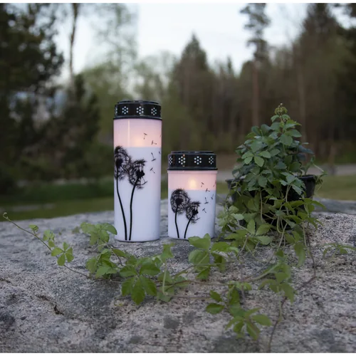 Star Trading LED Grabkerze Löwenzahn, Ø 7 x 21 cm, Weiss - Betriebsart: Akkubetrieb - Batteriebetrieb - Aussenanwendung: Ja - Höhe: 21 cm - Timerfunktion: Ja - Set: Nein - Farbe: Weiss