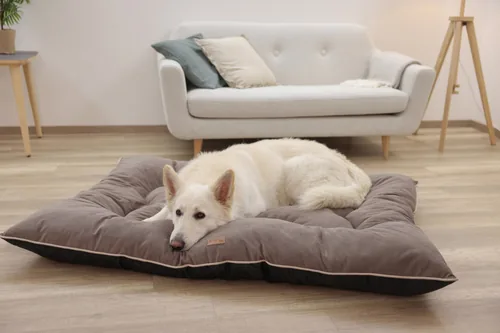 Kerbl 80459 dog / cat bed Pillow pet bed