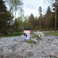 Star Trading LED Grabkerze Löwenzahn, Ø 7 x 12 cm, Weiss - Betriebsart: Akkubetrieb - Batteriebetrieb - Aussenanwendung: Ja - Höhe: 12 cm - Timerfunktion: Ja - Set: Nein - Farbe: Weiss