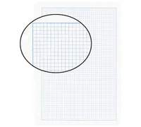 BIELLA Einlageblätter mit Rahmen A4 45144500U weiss,kar. 5mm,4-Loch 100Bl.