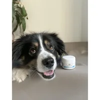 Bellfor Analdrüsen – Salbe 30 ml - Produkttyp: Salbe - Tierart: Hund