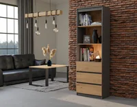 Topeshop RS-60 ANT/ART KPL office bookcase