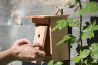 Windhager Nistkasten Birdy - Tierart: Vogel - Produkttyp: Nistkasten - Detailfarbe: Braun