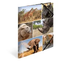 HERMA Gummibandmappe A4 Afrika, Karton, mit Innendruck - Typ: Gummibandmappe - Ausstattung: Innendruck - Gummiband - Detailfarbe: Braun - Material: Karton