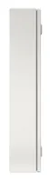 Rittal KX E-Box, : 300x600x155 mm, Stahlblech, mit Montagep