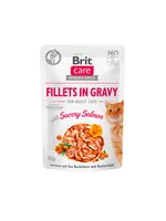 Brit Nassfutter Care Fillets Sauce Lachs, 85 g - Tierbedürfnis: Kein besonderes Bedürfnis - Geschmacksrichtung: Fisch - Zertifikate: Keine Zertifizierung - Fleischsorte: Lachs - Packungsgrösse: 85 g - Futtereigenschaft: Getreidefrei - Hypoallergen - Ohne 