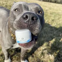 Bellfor Analdrüsen – Salbe 30 ml - Produkttyp: Salbe - Tierart: Hund