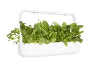 Click and Grow Samen Grüner Mangold - Bio: Nein - Sonneneinstrahlung: Hell und warm - Aussaatzeit: April - November - März - Mai - Juli - Dezember - Februar - Oktober - Juni - September - August - Januar - Gemüsegruppen: Blatt- und Stängelgemüse - Saattyp