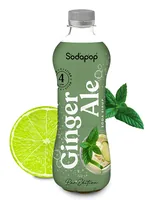 mySodapop 10025879 cocktail or drink mix 500 ml Ginger