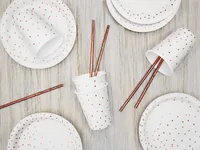Partydeco Einwegteller Punkte 18 cm, 6 Stück, Weiss - Produkttyp: Einwegteller - Materialtyp: Papier - Material: Pappe - Detailfarbe: Weiss - Verpackungseinheit: 6 Stück