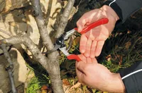 Felco 13 Classic Gartenschere