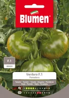 Blumen Samen Tomate Verduro Sardo - Aussaatzeit: April - März - Sonneneinstrahlung: Sonnig - Saattyp: Saatgut - Gemüsegruppen: Fruchtgemüse - Erntezeit: August - Juli - Oktober - September - Bio Zertifizierung: Ohne Bio-Zertifizierung
