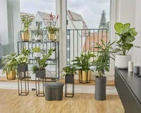 GARDENA Urlaubsbewässerung Set mit Wasserbehälter - Bewässerungsart: Urlaubsbewässerung - System Teil: Komplett-Set - Detailfarbe: Grau - Schwarz