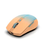INCA Wrls Maus 1600DPI2xBT5.16TastenLED2.4GHzUSB-C