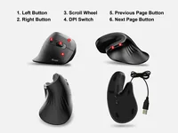 Equip Ergonomische Maus USB-A-C Stker 1.80m Rechts schwarz