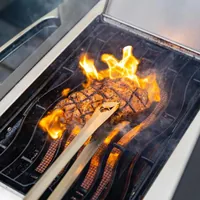 Fennek Grill Grillzange gross Silber - Produkttyp: Grillzange - Material: Edelstahl - Set: Nein