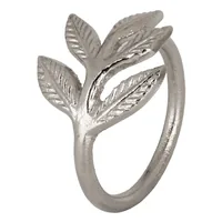EGLO Serviettenring Janapur 5.5 x 4.3 cm, Silber - Produkttyp: Serviettenring - Materialtyp: Metall - Material: Metall - Detailfarbe: Silber
