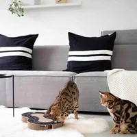 District 70 5121 cat scratcher Cat scratching board