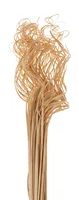 Opiflor Curly Ting gebleicht - Produkttyp: Naturmaterialien - Detailfarbe: Nature