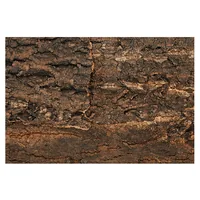Repti Planet Kork-Rück Wand 48.8 x 22.7 x 2 cm - Material: Kokosnussfaser - Zuschneidbar: Nein