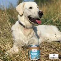 Paws & Patch Hunde-Nahrungsergänzung Zellulose Pulver 250 g - Nahrungsergänzungstyp: Pulver - Tierbedürfnis: Verdauung - Magen & Darm - Zertifikate: Keine Zertifizierung - Produkttyp: Ergänzungsfutter - Packungsgrösse: 250 g - Cannabinoide: Keine