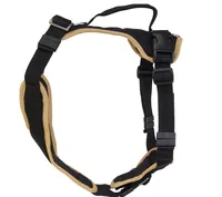 Grossenbacher Welpengeschirr Popp-it, Beige - Hundegrösse: M - Detailfarbe: Beige - Produkttyp: Geschirr - Tierart: Hund