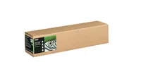Epson C13S450271NQ plotter paper 61 cm