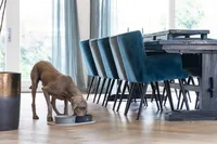 Designed by Lotte Platzset Oona Beige, 55 cm x 30 cm - Produkttyp: Napfunterlage - Tierart: Hund - Katze - Material: Silikon