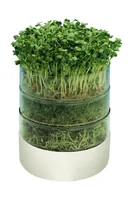 Samen Mauser 10760106 kit de croissance et recharge 1 pièce(s) Germinateur