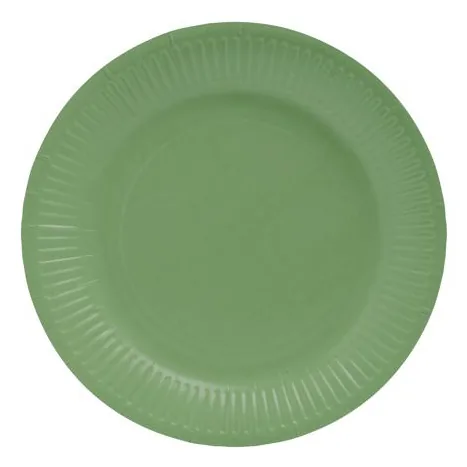 PRONAPPE 79220I disposable dish Plate