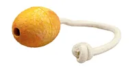 Wolters Hunde-Spielzeug Straussenei mit Seil, M - Produkttyp: Apportieren - Tierart: Hund