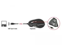DeLOCK 12527 mouse Office Right-hand USB Type-A Optical 800 DPI