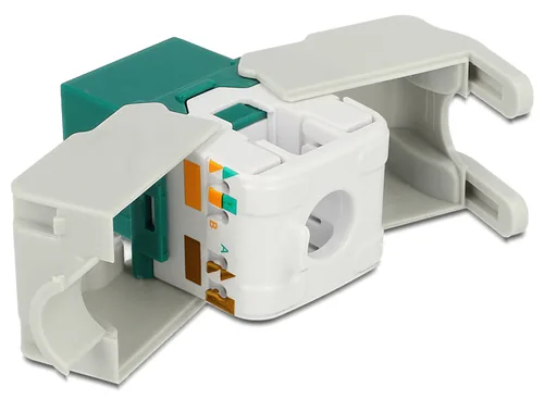 DELOCK Keystone RJ45 -> LSA Cat6 UTP Buchse