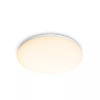 Philips Functional Ceiling light