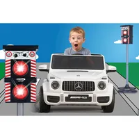 Jamara Blitzer Traffic Flash