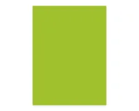 ELCO Office Color Papier A4 74616.62 80g, grün 100 Blatt