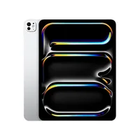 Apple iPad Pro 13 M5 - 33 cm (13"") - Wi-Fi - 256 GB - Silber