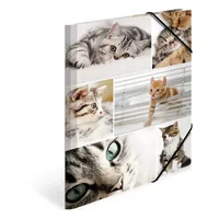 HERMA Gummibandmappe A4 Katzen, Karton, mit Innendruck - Typ: Gummibandmappe - Ausstattung: Innendruck - Gummiband - Detailfarbe: Hellgrau - Material: Karton