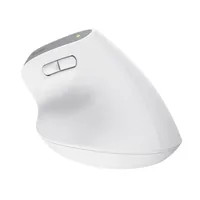 Trust Bayo+ mouse Office Right-hand RF Wireless + Bluetooth Optical 2400 DPI