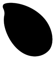Reslin Farbpigmente Tinte 20 ml, Schwarz - Zubehörart Basteln: Farbpigmente