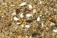 JR Farm Hauptfutter Basic Zwerghamster-Schmaus 600 g - Nagetierart: Zwerghamster - Verpackungsgrösse: 0.6 kg - Tierart: Nager