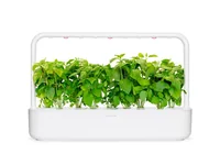 Click and Grow Samen Zimtbasilikum - Bio: Nein - Sonneneinstrahlung: Hell und warm - Aussaatzeit: April - November - März - Mai - Juli - Dezember - Februar - Oktober - Juni - September - August - Januar - Gemüsegruppen: Kräuter - Saattyp: Saatgut - Erntez