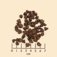 WOLFSBLUT Wide Plain Small breeds Horse with sweet potatoes - dry dog food - 2kg